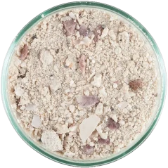 CaribSea Aragalive Bimini Pink 9,07 kg
