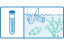af icp 1 marinlab image 1