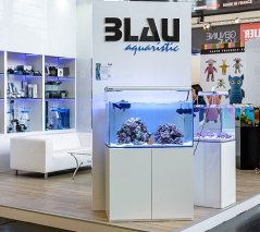 Blau Set Marine Gran Cubic Experience 122 White Glossy