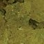 veggiekelpflake 1