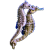 Syngnathidae