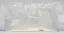 Live Marine Copepods – Živý Mořský Plankton 180 ml