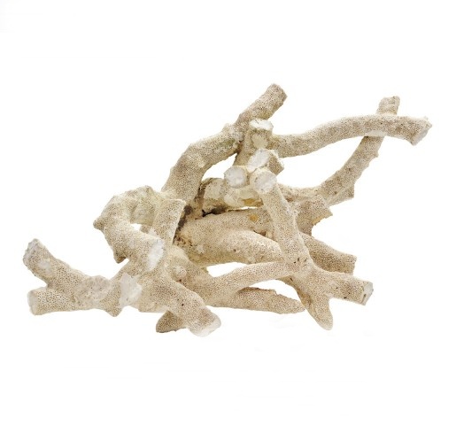 Tonga Branch Rocks naturalna skała