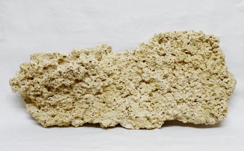 Ceramic Reef Rock Plate