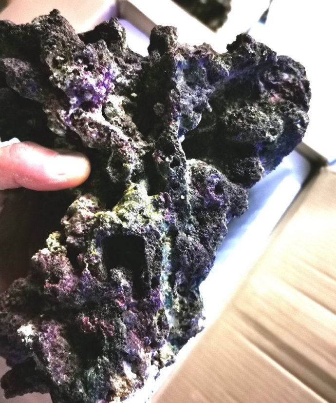 Indonesia PREMIUM Live Rock - Živá skala 20kg