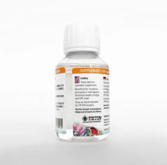 Triton Iodine 100 ml