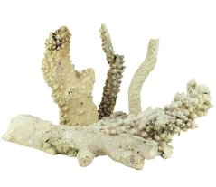 Tonga Branch Rocks naravna skala