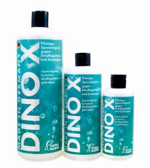 FM Dino X family